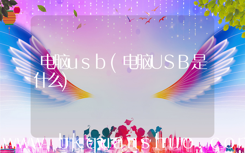 电脑usb(电脑USB是什么)