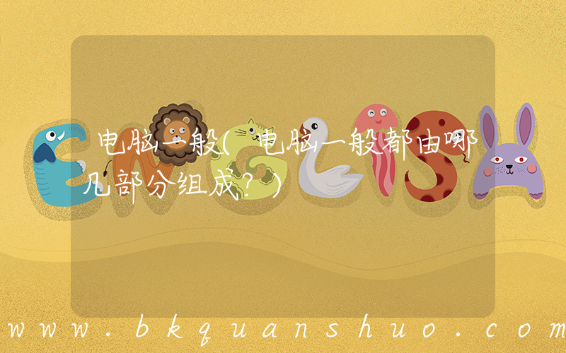 电脑一般(电脑一般都由哪几部分组成？)