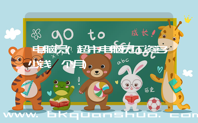 电脑员(超市电脑员工资多少钱一个月)
