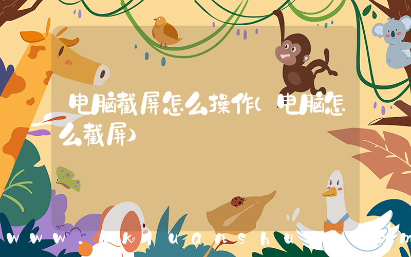 电脑截屏怎么操作(电脑怎么截屏)