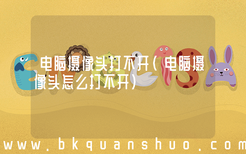 电脑摄像头打不开(电脑摄像头怎么打不开)