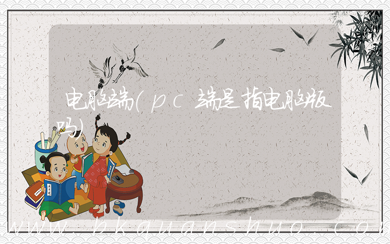 电脑端(pc端是指电脑版吗)