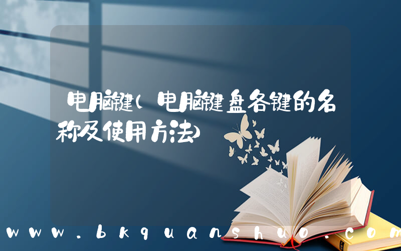 电脑键(电脑键盘各键的名称及使用方法)