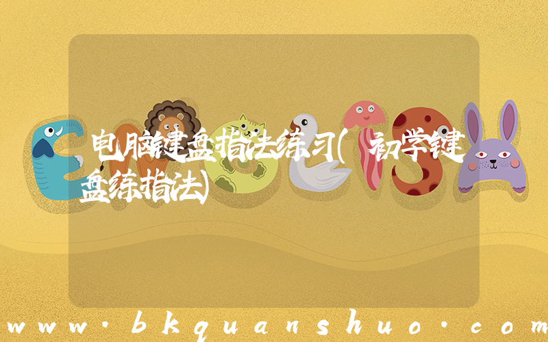 电脑键盘指法练习(初学键盘练指法)