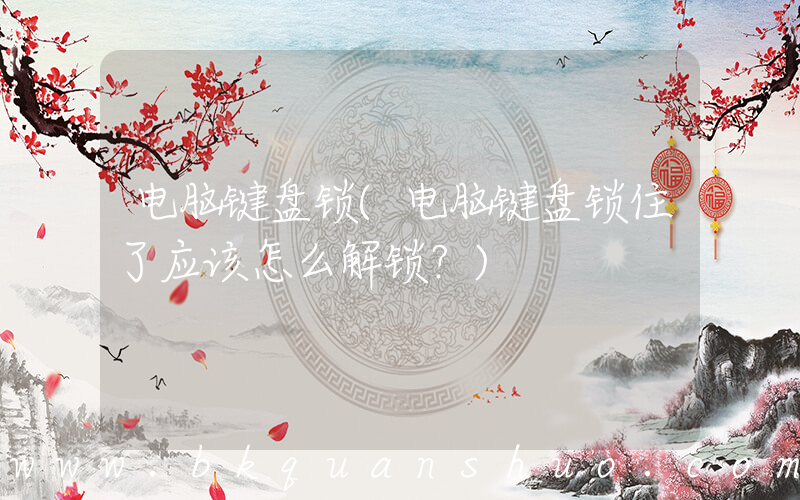 电脑键盘锁(电脑键盘锁住了应该怎么解锁？)