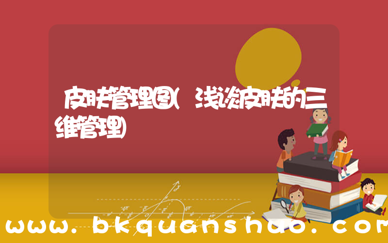 皮肤管理图(浅谈皮肤的三维管理)