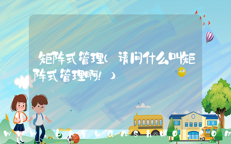 矩阵式管理(请问什么叫矩阵式管理啊！)