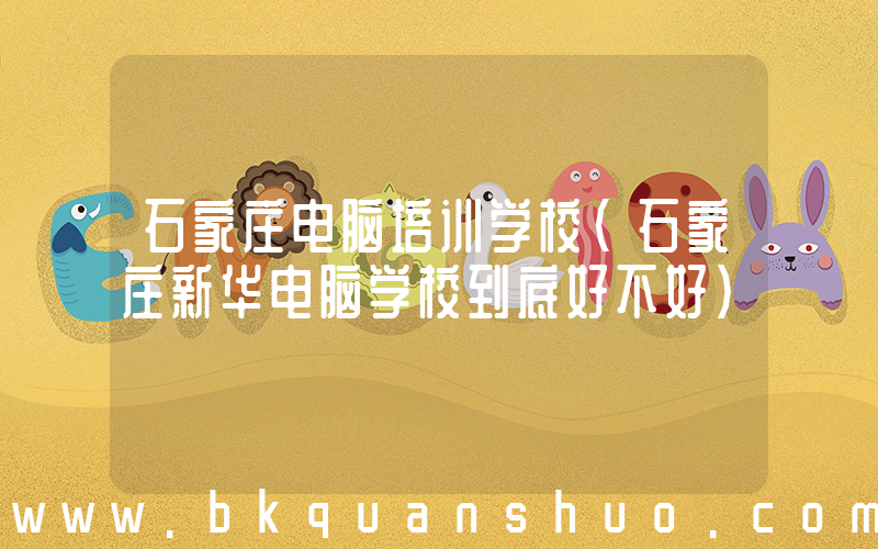 石家庄电脑培训学校(石家庄新华电脑学校到底好不好)