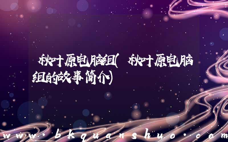 秋叶原电脑组(秋叶原电脑组的故事简介)