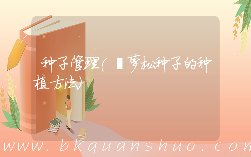 种子管理(茑萝松种子的种植方法)