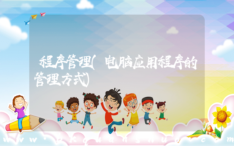 程序管理(电脑应用程序的管理方式)