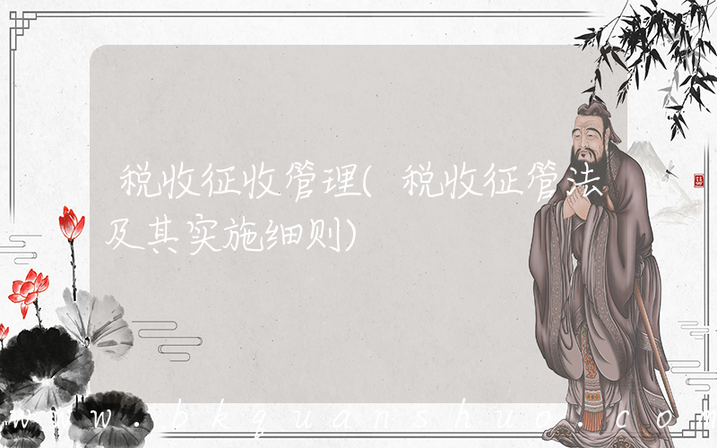 税收征收管理(税收征管法及其实施细则)