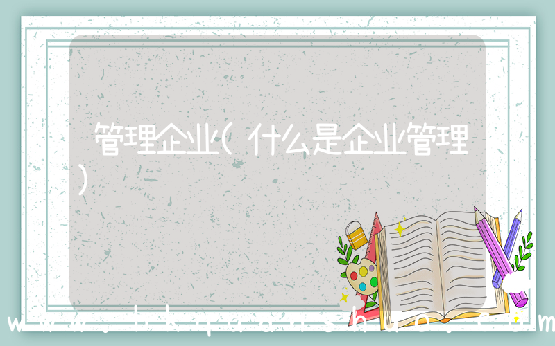 管理企业(什么是企业管理)