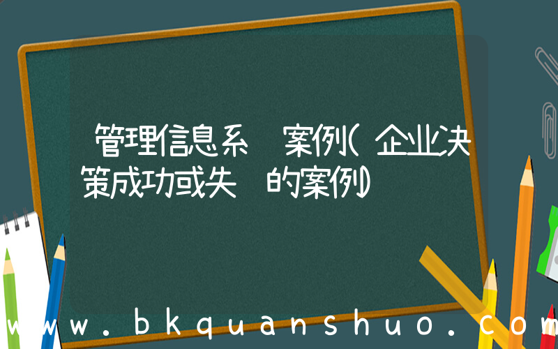 管理信息系统案例(企业决策成功或失败的案例)