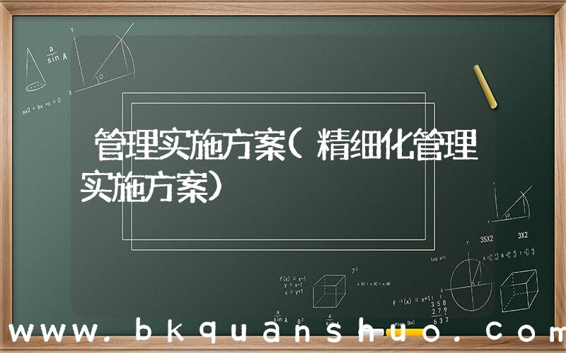 管理实施方案(精细化管理实施方案)