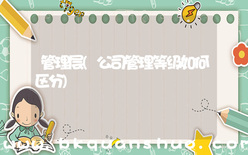 管理层(公司管理等级如何区分)