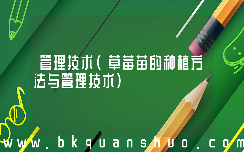 管理技术(草莓苗的种植方法与管理技术)