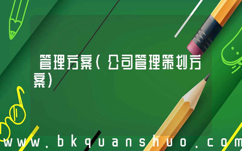 管理方案(公司管理策划方案)