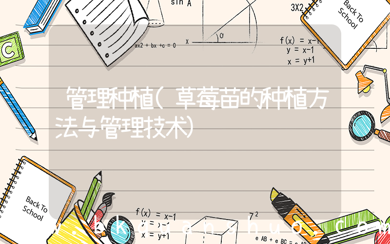 管理种植(草莓苗的种植方法与管理技术)