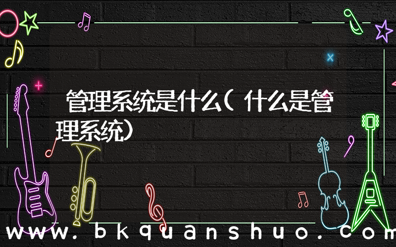 管理系统是什么(什么是管理系统)