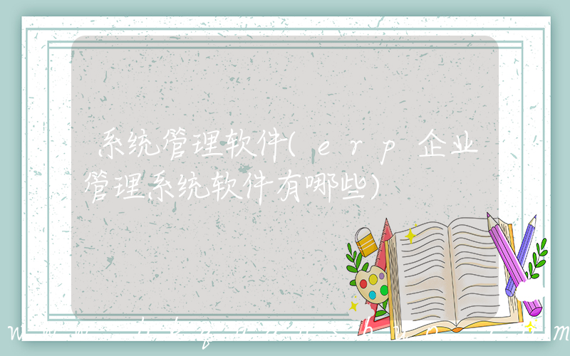 系统管理软件(erp企业管理系统软件有哪些)