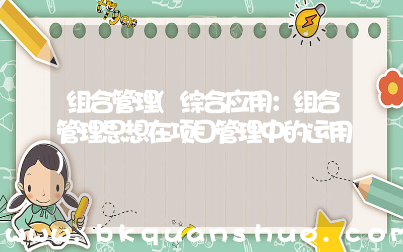 组合管理(综合应用：组合管理思想在项目管理中的运用)