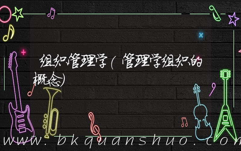 组织管理学(管理学组织的概念)