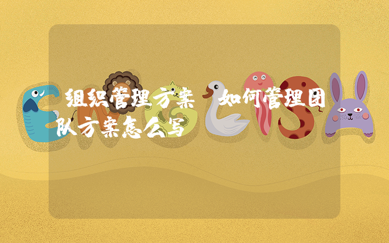 组织管理方案(如何管理团队方案怎么写)
