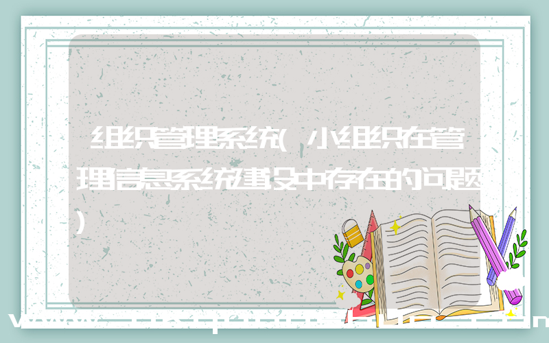 组织管理系统(小组织在管理信息系统建设中存在的问题)