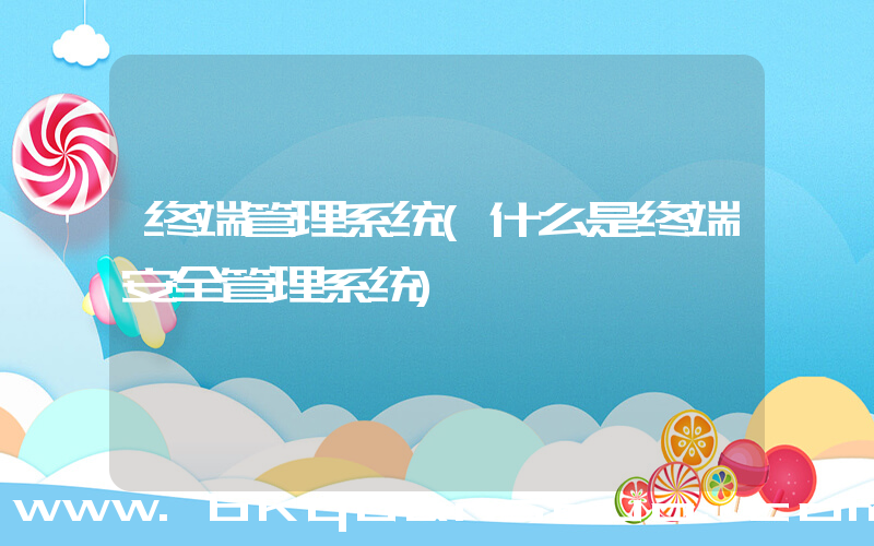 终端管理系统(什么是终端安全管理系统)