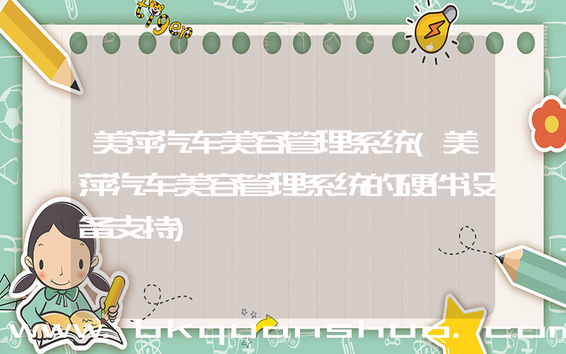 美萍汽车美容管理系统(美萍汽车美容管理系统的硬件设备支持)