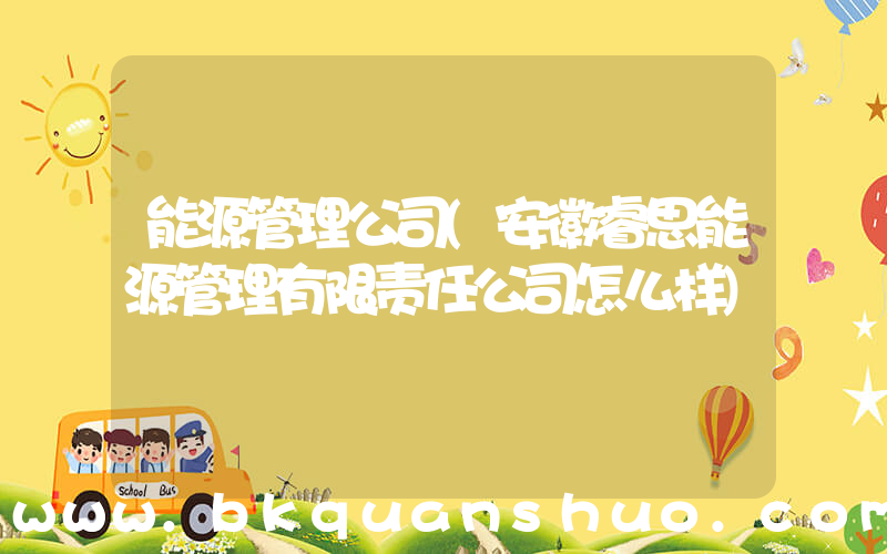 能源管理公司(安徽睿思能源管理有限责任公司怎么样)