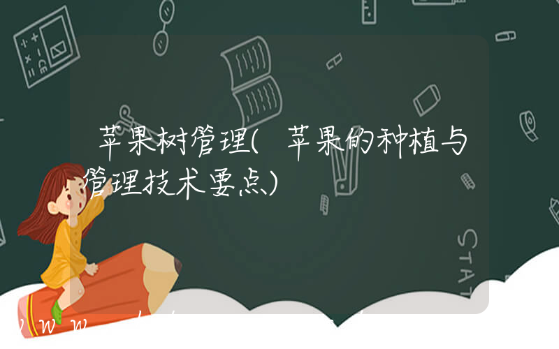 苹果树管理(苹果的种植与管理技术要点)
