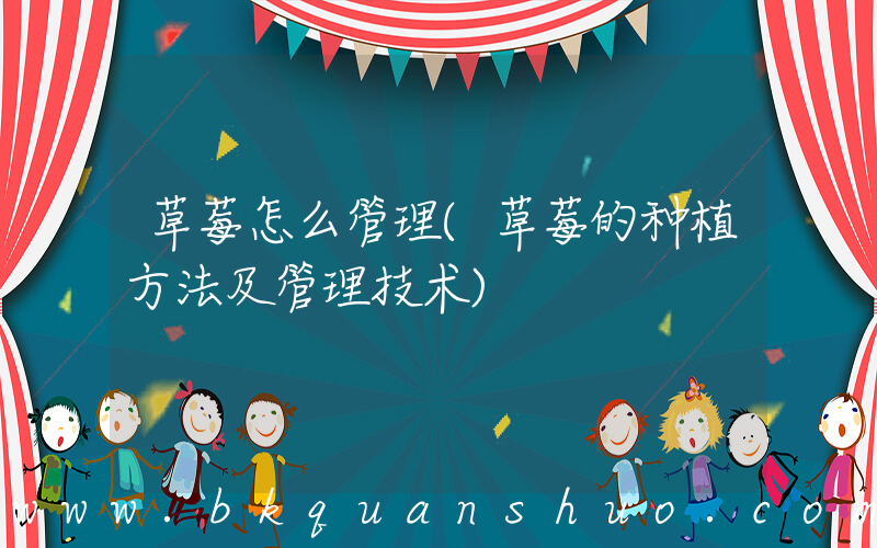 草莓怎么管理(草莓的种植方法及管理技术)