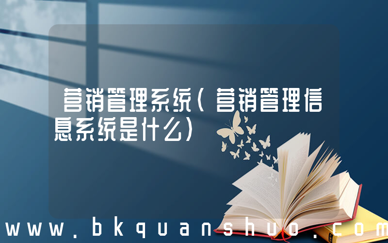营销管理系统(营销管理信息系统是什么)