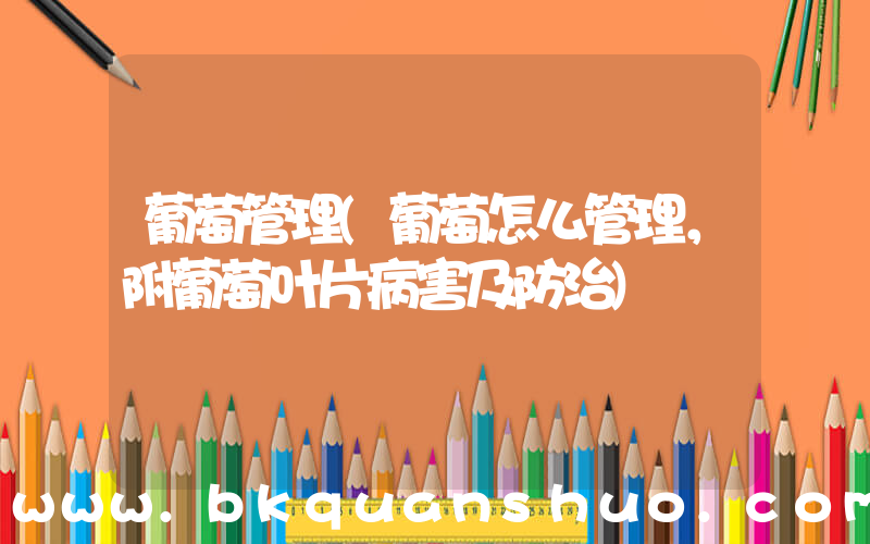 葡萄管理(葡萄怎么管理，附葡萄叶片病害及防治)