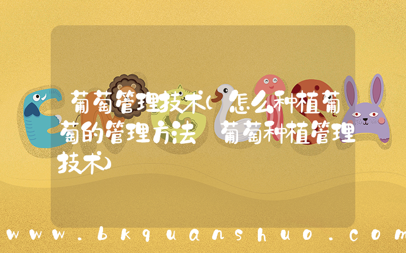 葡萄管理技术(怎么种植葡萄的管理方法_葡萄种植管理技术)