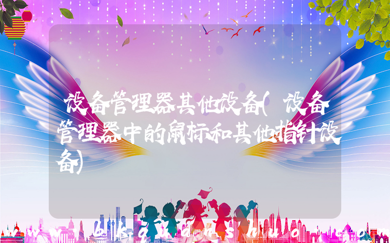 设备管理器其他设备(设备管理器中的鼠标和其他指针设备)