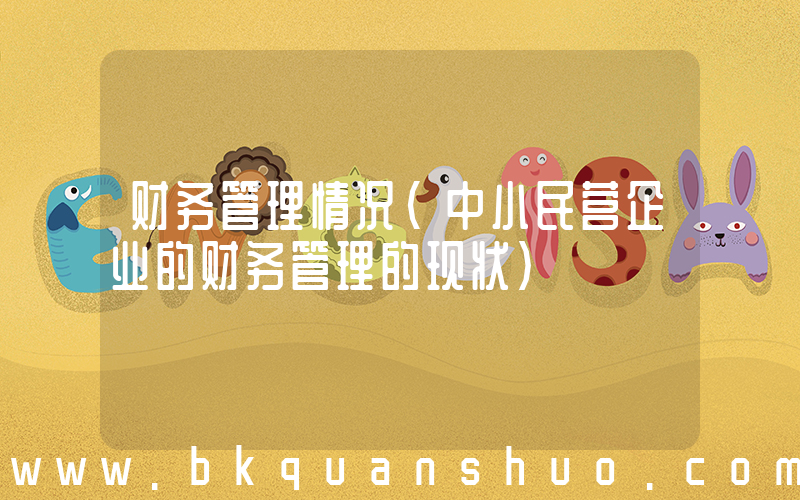 财务管理情况(中小民营企业的财务管理的现状)
