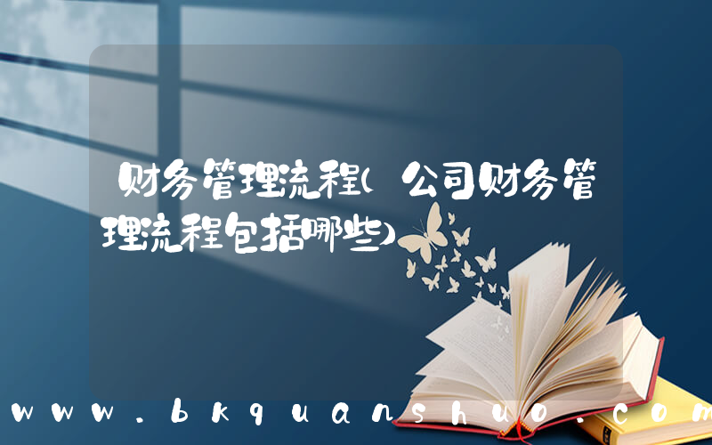 财务管理流程(公司财务管理流程包括哪些)
