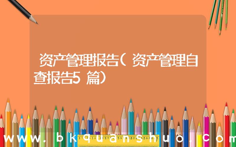 资产管理报告(资产管理自查报告5篇)