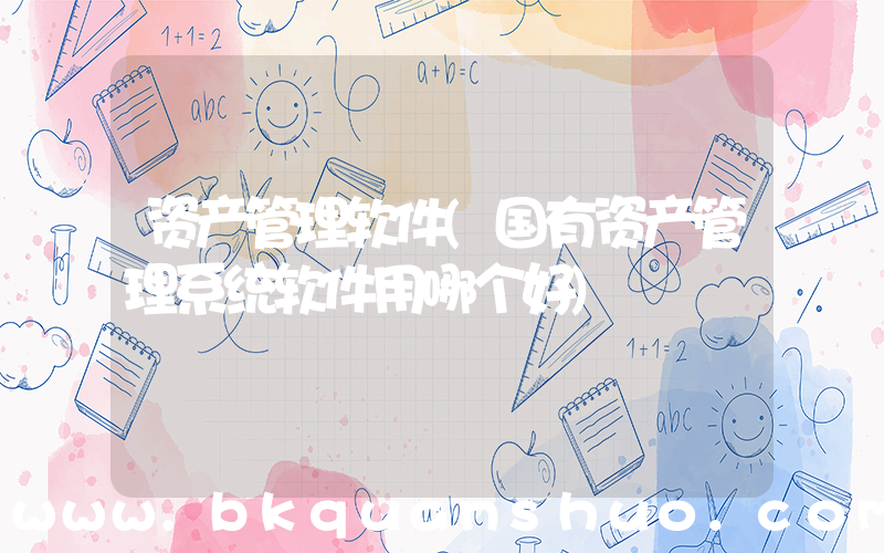 资产管理软件(国有资产管理系统软件用哪个好)