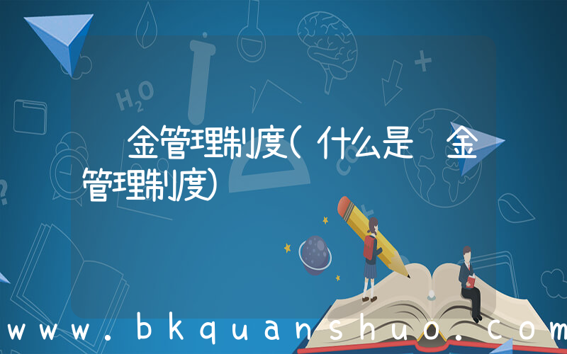 资金管理制度(什么是资金管理制度)