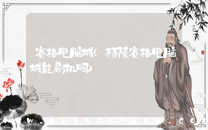 赛格电脑城(杨陵赛格电脑城能刷机吗)