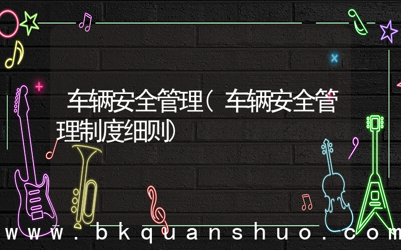 车辆安全管理(车辆安全管理制度细则)