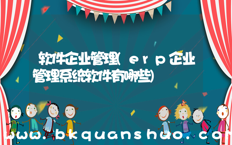 软件企业管理(erp企业管理系统软件有哪些)