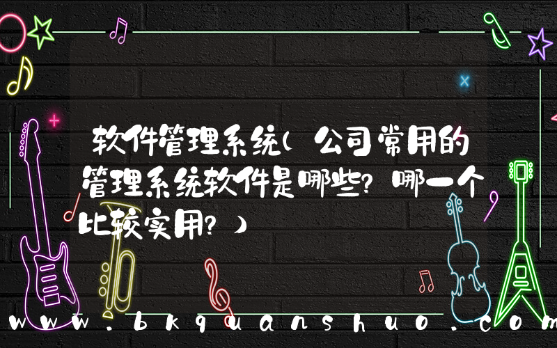 软件管理系统(公司常用的管理系统软件是哪些？哪一个比较实用？)