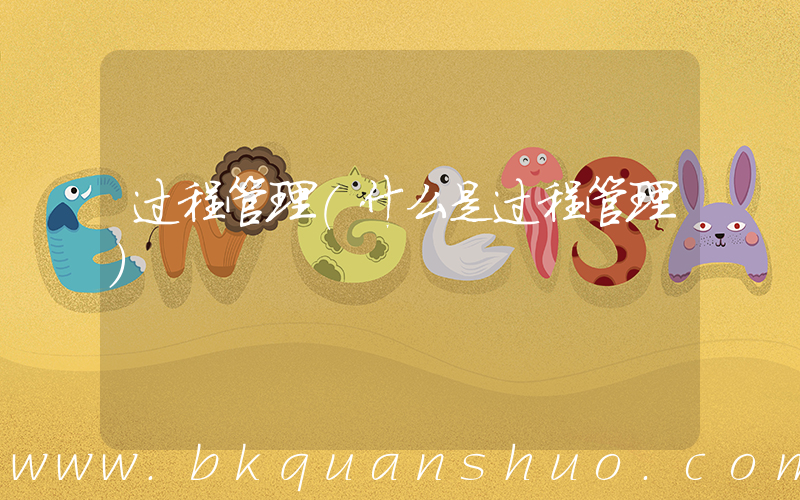过程管理(什么是过程管理)