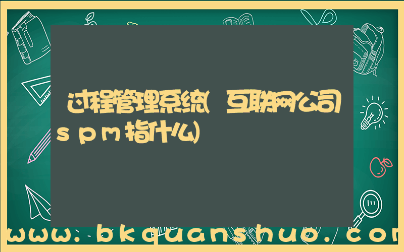 过程管理系统(互联网公司spm指什么)