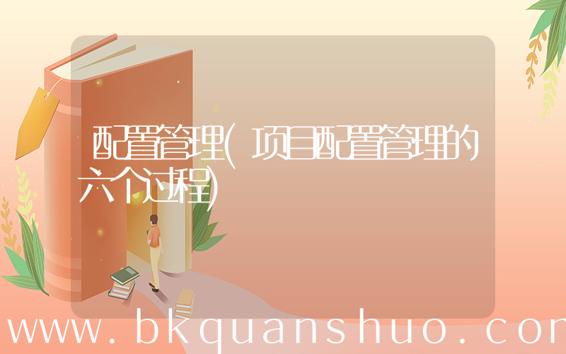 配置管理(项目配置管理的六个过程)